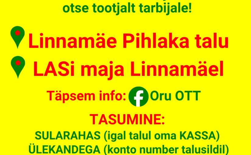 Oru OTTi ISETEENINDUSLETID